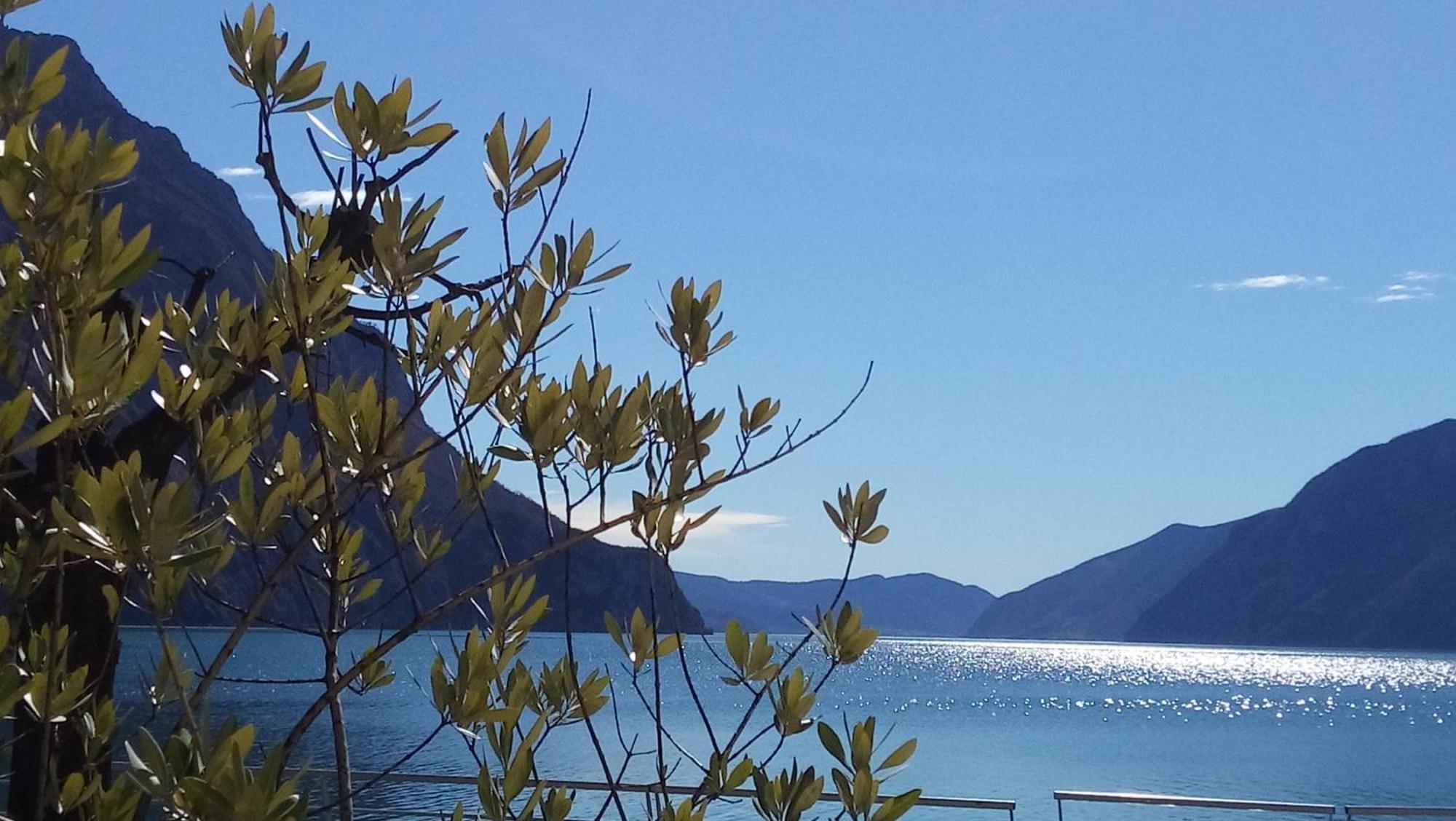 Ca Del Lac Castro  Εξωτερικό φωτογραφία